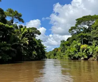 Clima em Santarém: O Que Esperar Durante Sua Visita