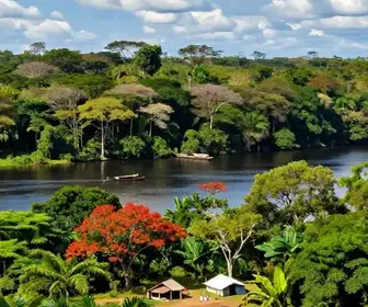 Descubra Como Viajar de Forma Sustentável no Tapajós