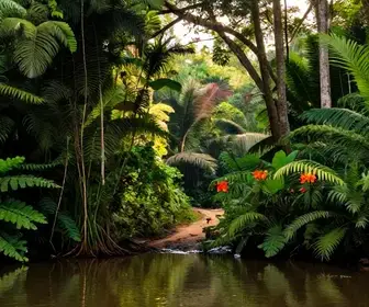 Descubra o Melhor Roteiro de Ecoturismo em Santarém - PA