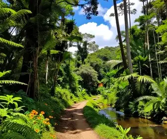 Descubra o Parque Estadual Monte Alegre: Natureza e Aventura em Santarém