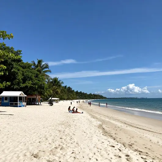 Descubra Tapary Beach