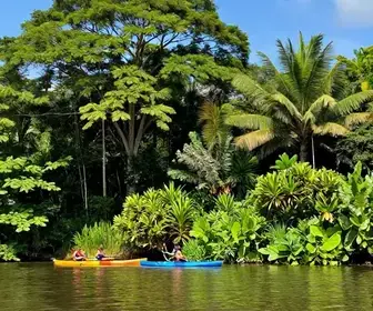 Experiência Imperdível: Passeio de Canoa em Igarapé-Açu Experiência Imperdível: Passeio de Canoa em Igarapé-Açu