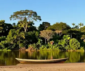Explorando as belezas do Rio Arapiuns em Santarém