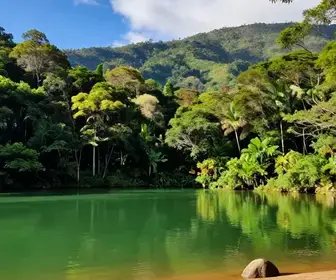 Explorando o Lago Verde em Alter do Chão: Um Paraíso Natural