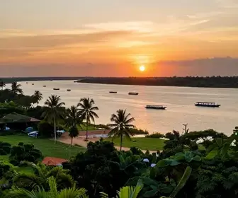 Guia Completo: 9 Melhores Serviços ao Turista em Santarém