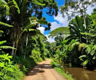 Guia Completo: Como Chegar à Comunidade de Coroca em Santarém Guia Completo: Como Chegar à Comunidade de Coroca em Santarém