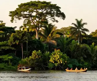 Guia Completo: Como Chegar ao Rio Arapiuns em Santarém - PA