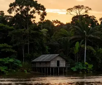 Hospedagem Comunitária no Rio Arapiuns: Uma Experiência Única em Santarém Hospedagem Comunitária no Rio Arapiuns: Uma Experiência Única em Santarém