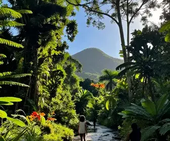 Melhores opções de natureza e trilhas em Santarém: guia atualizado